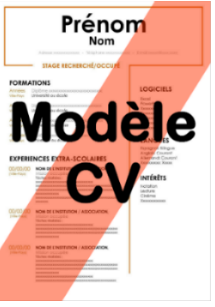 Exemple Modele CV Gratuit